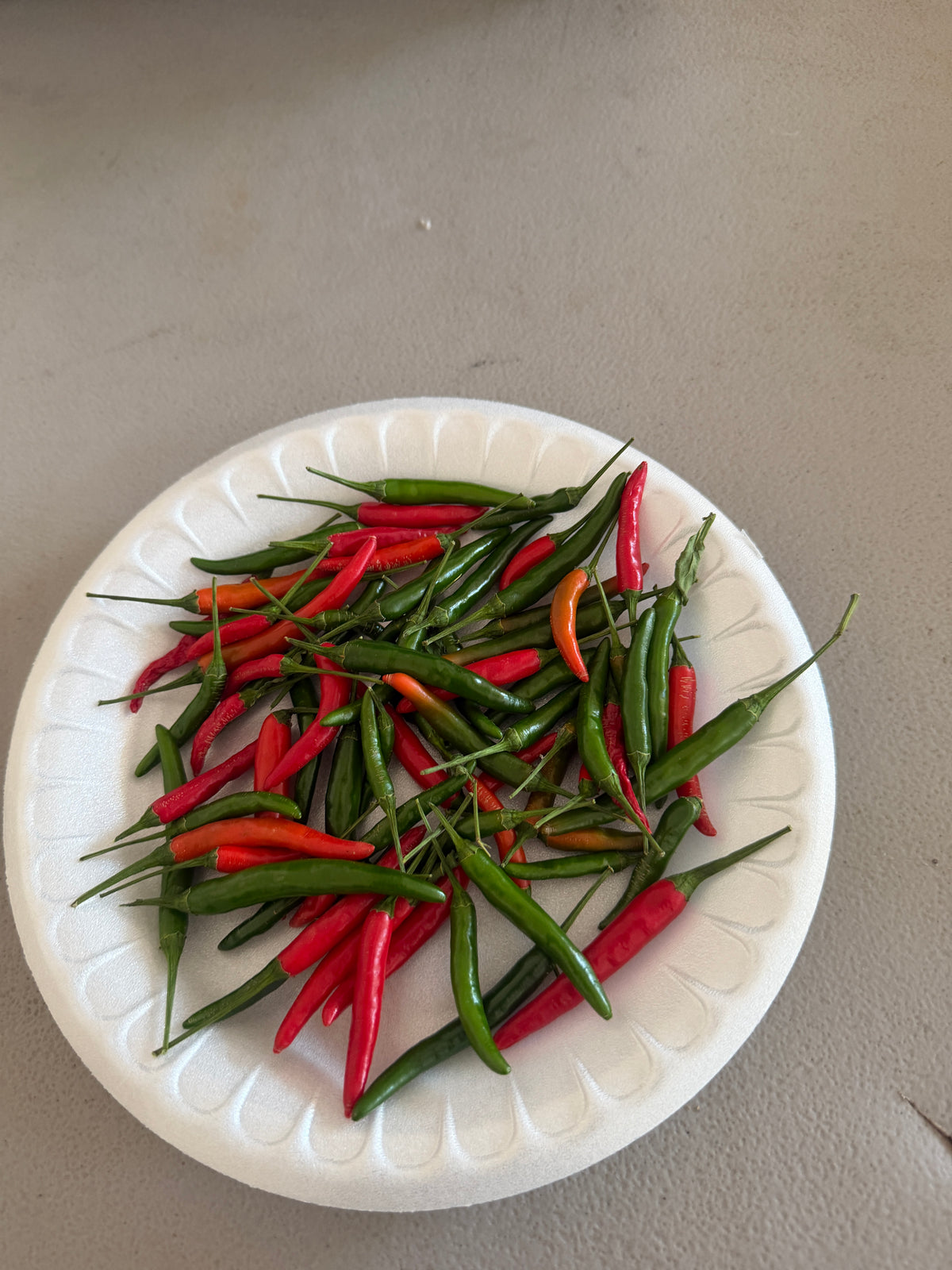 Thai Birds Eye  Chili