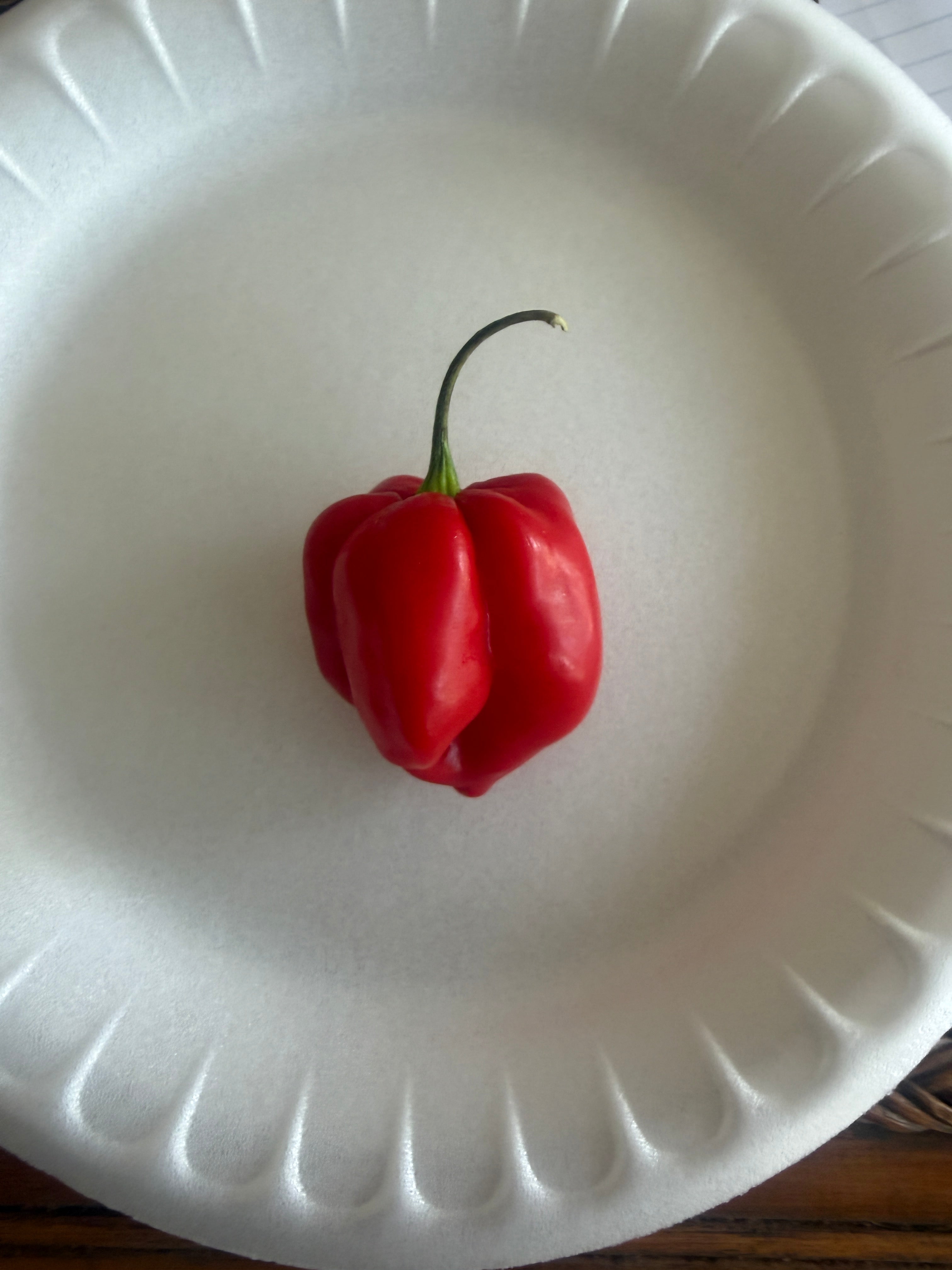 Red Habanero