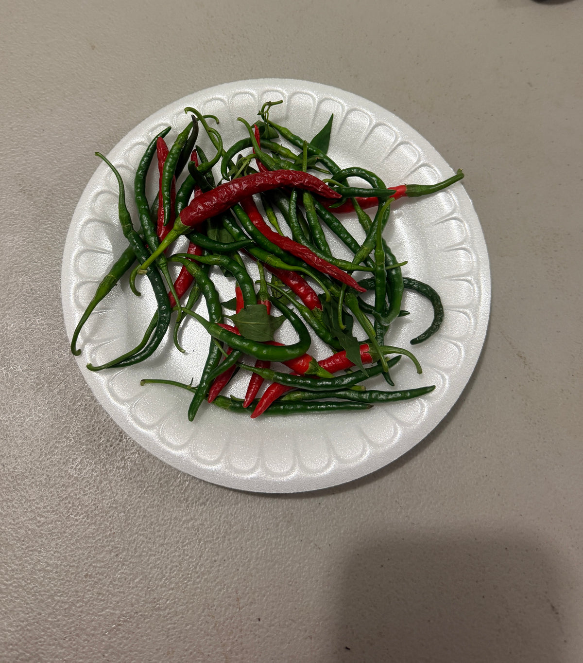 Cayenne