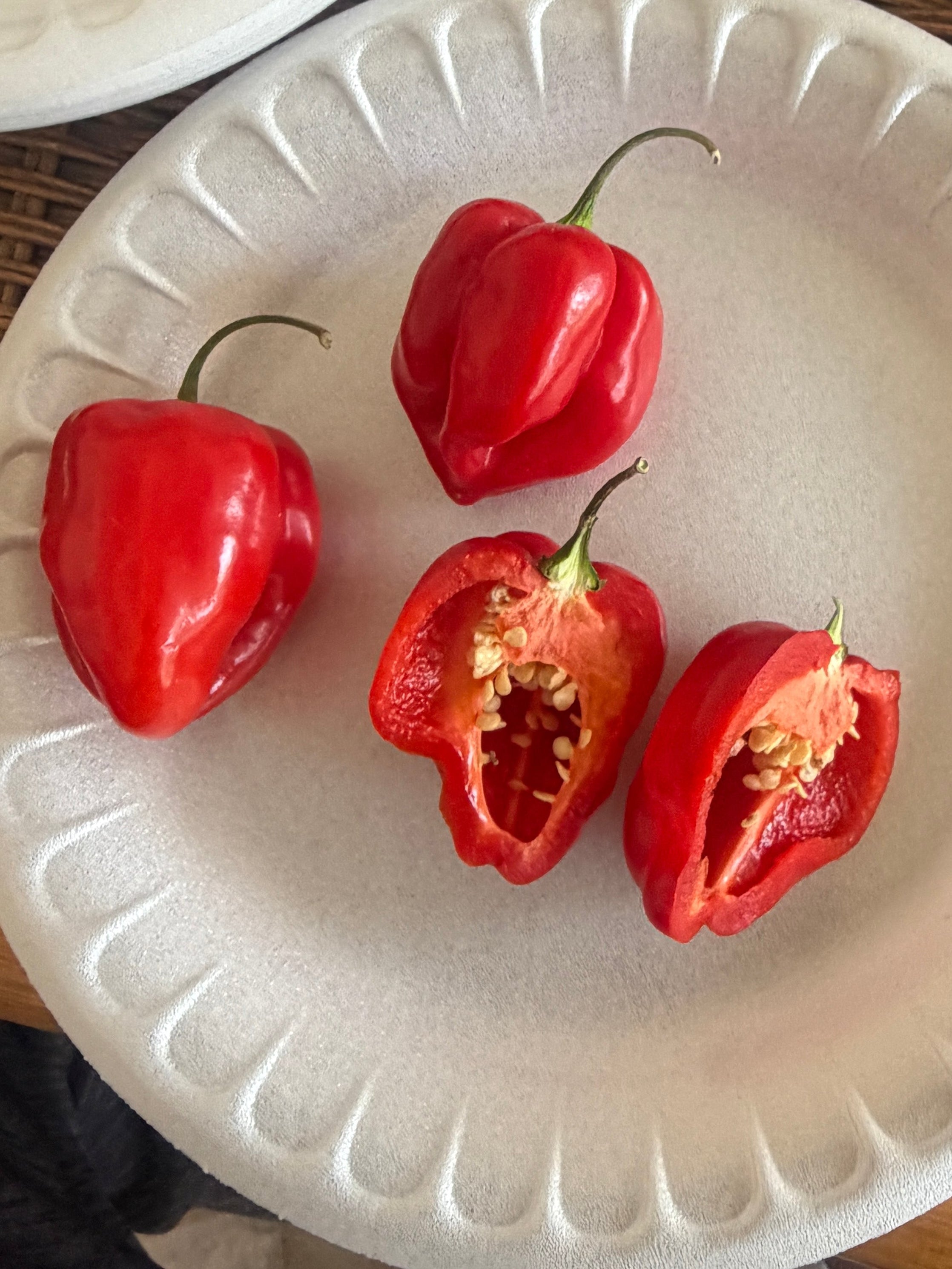 Red Habanero